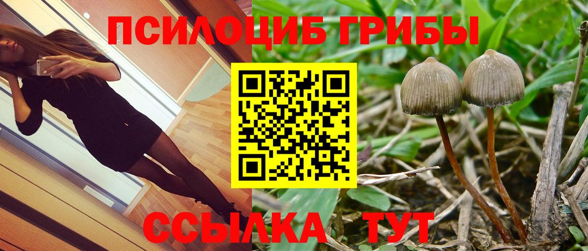 Галлюциногенные грибы Psilocybine cubensis  Галлюциногенные грибы Magic Shrooms  Гуково  Вход с VPN 